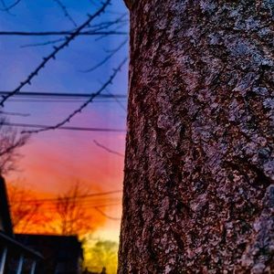 Meet your Posher, George